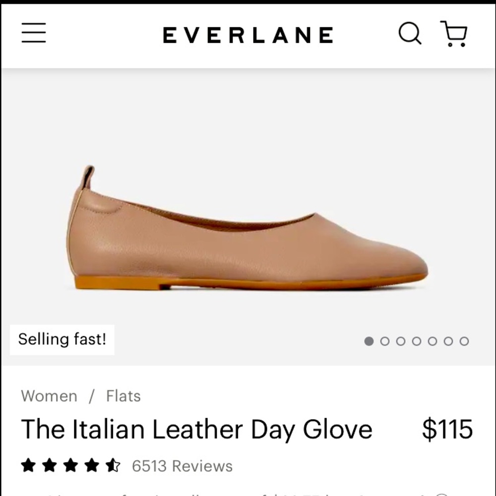 Everlane Leather Tan Flats
